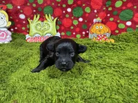 processed/e1eb33b4-003e-4a8e-bf1b-32beb59b2663/listing/023b303b-e68f-497e-a941-0e7368927cbf/1591cd2c-9824-4fa2-9412-f9bac3cd957b