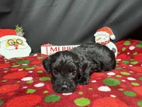 processed/e1eb33b4-003e-4a8e-bf1b-32beb59b2663/listing/023b303b-e68f-497e-a941-0e7368927cbf/2f5865fa-ee02-40a4-87ae-9e8988167ad7