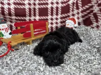 processed/e1eb33b4-003e-4a8e-bf1b-32beb59b2663/listing/023b303b-e68f-497e-a941-0e7368927cbf/3ef0e01b-86e0-4066-aed9-d260590bba77