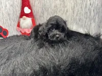 processed/e1eb33b4-003e-4a8e-bf1b-32beb59b2663/listing/023b303b-e68f-497e-a941-0e7368927cbf/49a7dcc7-bcc9-4ce0-85a6-34837fbc487d