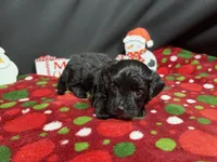 processed/e1eb33b4-003e-4a8e-bf1b-32beb59b2663/listing/023b303b-e68f-497e-a941-0e7368927cbf/ab7cb92a-ec3e-4a77-af9e-4198cc11779c