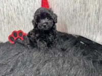 processed/e1eb33b4-003e-4a8e-bf1b-32beb59b2663/listing/023b303b-e68f-497e-a941-0e7368927cbf/c5bfe947-7b7b-4dcf-8f37-feeb592cb695