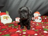 processed/e1eb33b4-003e-4a8e-bf1b-32beb59b2663/listing/023b303b-e68f-497e-a941-0e7368927cbf/f3184fbc-9749-47fe-9efc-1f976f3b60a4