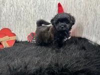 processed/e1eb33b4-003e-4a8e-bf1b-32beb59b2663/listing/05521beb-b83b-4eb0-8cca-32a627f7e95b/24702783-aad1-4544-adee-e9531d0a0d37