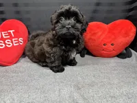 processed/e1eb33b4-003e-4a8e-bf1b-32beb59b2663/listing/05521beb-b83b-4eb0-8cca-32a627f7e95b/7fad49e5-18bf-49a5-8652-11be4965c26f