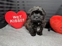 processed/e1eb33b4-003e-4a8e-bf1b-32beb59b2663/listing/05521beb-b83b-4eb0-8cca-32a627f7e95b/84f44937-3944-4606-955c-d6964afd04f2