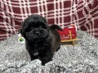 processed/e1eb33b4-003e-4a8e-bf1b-32beb59b2663/listing/05521beb-b83b-4eb0-8cca-32a627f7e95b/b1ac9add-bf17-4830-ae14-5ed797cb62ee