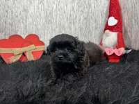 processed/e1eb33b4-003e-4a8e-bf1b-32beb59b2663/listing/05521beb-b83b-4eb0-8cca-32a627f7e95b/b9e56a5a-3eb6-40f9-a035-eeb5e172d912