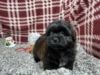 processed/e1eb33b4-003e-4a8e-bf1b-32beb59b2663/listing/05521beb-b83b-4eb0-8cca-32a627f7e95b/dedb5955-1e23-4e53-a30d-6686b086fcc6