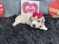 processed/e1eb33b4-003e-4a8e-bf1b-32beb59b2663/listing/07717650-6d70-436d-9d30-79e760ca7d50/651deb9e-5839-42f0-8741-b9c58d871765