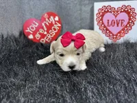 processed/e1eb33b4-003e-4a8e-bf1b-32beb59b2663/listing/07717650-6d70-436d-9d30-79e760ca7d50/fb521c71-a89a-4a5a-ba26-414a512a93fb