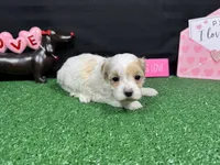 processed/e1eb33b4-003e-4a8e-bf1b-32beb59b2663/listing/287cd36d-6af4-46fd-a2d9-f72b5a2f1743/2a740770-cd9d-49e8-89f9-a9319486c8bc