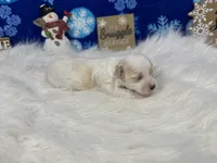 processed/e1eb33b4-003e-4a8e-bf1b-32beb59b2663/listing/287cd36d-6af4-46fd-a2d9-f72b5a2f1743/4ebaba39-b87d-4506-ad7e-ad7bfe556e9f