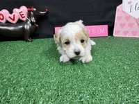 processed/e1eb33b4-003e-4a8e-bf1b-32beb59b2663/listing/287cd36d-6af4-46fd-a2d9-f72b5a2f1743/662fd112-2412-4285-b2bf-b6be4db678fa