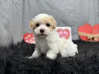 processed/e1eb33b4-003e-4a8e-bf1b-32beb59b2663/listing/287cd36d-6af4-46fd-a2d9-f72b5a2f1743/a7488ef9-ab12-4c67-8844-34c2242a15f2