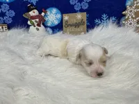 processed/e1eb33b4-003e-4a8e-bf1b-32beb59b2663/listing/287cd36d-6af4-46fd-a2d9-f72b5a2f1743/b8a7c16d-6de3-44df-a21d-2d385968277d