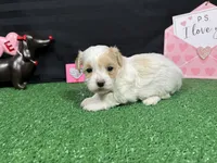 processed/e1eb33b4-003e-4a8e-bf1b-32beb59b2663/listing/287cd36d-6af4-46fd-a2d9-f72b5a2f1743/f36bfa15-b2c4-4ffa-b3f0-85f272282c68