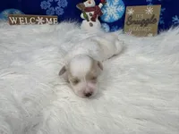 processed/e1eb33b4-003e-4a8e-bf1b-32beb59b2663/listing/287cd36d-6af4-46fd-a2d9-f72b5a2f1743/f992f56f-f673-4c31-8770-de84c5207d70