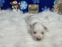 processed/e1eb33b4-003e-4a8e-bf1b-32beb59b2663/listing/2ff31883-2280-4bce-9eb7-e1116d6500b0/01b80bea-7112-4ab8-82ae-581148cd80aa