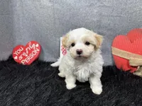 processed/e1eb33b4-003e-4a8e-bf1b-32beb59b2663/listing/2ff31883-2280-4bce-9eb7-e1116d6500b0/23fef5d1-4f99-4369-bda5-fa5a72469b3b