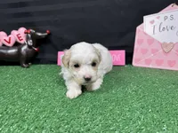 processed/e1eb33b4-003e-4a8e-bf1b-32beb59b2663/listing/2ff31883-2280-4bce-9eb7-e1116d6500b0/53b5803f-4f7a-42ea-b12e-d7b036e380bf