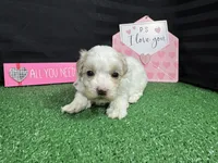 processed/e1eb33b4-003e-4a8e-bf1b-32beb59b2663/listing/2ff31883-2280-4bce-9eb7-e1116d6500b0/5b8a89aa-99b4-414d-928c-d35f7af0213f