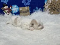 processed/e1eb33b4-003e-4a8e-bf1b-32beb59b2663/listing/2ff31883-2280-4bce-9eb7-e1116d6500b0/b46dd5cc-17bb-495c-b8b1-e531beaea808