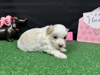 processed/e1eb33b4-003e-4a8e-bf1b-32beb59b2663/listing/2ff31883-2280-4bce-9eb7-e1116d6500b0/da137b5f-1328-4b20-abce-a40a661c3227