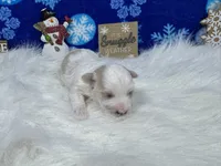 processed/e1eb33b4-003e-4a8e-bf1b-32beb59b2663/listing/2ff31883-2280-4bce-9eb7-e1116d6500b0/ee695464-3960-4892-abd0-3a69e842d8a2