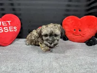 processed/e1eb33b4-003e-4a8e-bf1b-32beb59b2663/listing/4c4e2e69-353b-4696-820e-a0fc881fea74/0eb5573b-f882-4078-bb32-8fb66fda3962