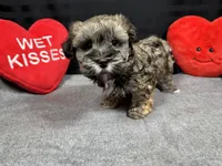 processed/e1eb33b4-003e-4a8e-bf1b-32beb59b2663/listing/4c4e2e69-353b-4696-820e-a0fc881fea74/15e8a106-4ee5-4e71-a8d0-f246732fd10d