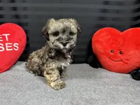 processed/e1eb33b4-003e-4a8e-bf1b-32beb59b2663/listing/4c4e2e69-353b-4696-820e-a0fc881fea74/6f56ce78-151d-434e-b327-cc309fa3a3cd