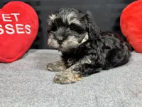 processed/e1eb33b4-003e-4a8e-bf1b-32beb59b2663/listing/6465a6b1-1547-4a2d-8905-5b9892ac4ba4/70a1ab82-14d1-4da0-a84c-d88000d729ca