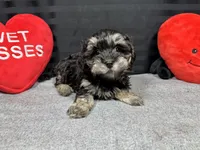 processed/e1eb33b4-003e-4a8e-bf1b-32beb59b2663/listing/6465a6b1-1547-4a2d-8905-5b9892ac4ba4/8fc581d5-b7a6-4dc1-82e0-a24b71aaba3c