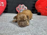 processed/e1eb33b4-003e-4a8e-bf1b-32beb59b2663/listing/68391b14-09f3-4625-8693-b9651a3df33b/12c9960a-a136-418f-bc3b-5b5878c41fac