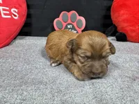 processed/e1eb33b4-003e-4a8e-bf1b-32beb59b2663/listing/68391b14-09f3-4625-8693-b9651a3df33b/3991e81e-78cd-490f-987a-80a896a4b5bf