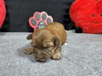 processed/e1eb33b4-003e-4a8e-bf1b-32beb59b2663/listing/68391b14-09f3-4625-8693-b9651a3df33b/43fc9a53-6224-4372-88b0-860b55ae579f