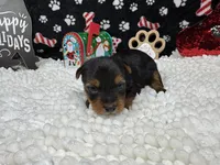 processed/e1eb33b4-003e-4a8e-bf1b-32beb59b2663/listing/685deeca-12cf-4fc0-bb0c-c4d54d40038a/20bb3412-6b39-41af-9e68-3182387512fb