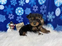 processed/e1eb33b4-003e-4a8e-bf1b-32beb59b2663/listing/685deeca-12cf-4fc0-bb0c-c4d54d40038a/28b29ff2-c1df-4a58-b6df-5372d28df8d0