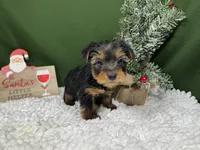 processed/e1eb33b4-003e-4a8e-bf1b-32beb59b2663/listing/685deeca-12cf-4fc0-bb0c-c4d54d40038a/5a1fed57-fcf4-430b-8206-a1ba2eca5571