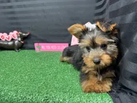 processed/e1eb33b4-003e-4a8e-bf1b-32beb59b2663/listing/685deeca-12cf-4fc0-bb0c-c4d54d40038a/70263db9-e2ad-4255-b4a2-b6a2f869c7c5