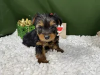 processed/e1eb33b4-003e-4a8e-bf1b-32beb59b2663/listing/685deeca-12cf-4fc0-bb0c-c4d54d40038a/710dec1f-0f6e-4276-a058-46ba65ed9150