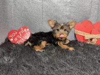 processed/e1eb33b4-003e-4a8e-bf1b-32beb59b2663/listing/685deeca-12cf-4fc0-bb0c-c4d54d40038a/a2df15b4-a4b6-4fc8-a008-c5231a771f16