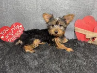 processed/e1eb33b4-003e-4a8e-bf1b-32beb59b2663/listing/685deeca-12cf-4fc0-bb0c-c4d54d40038a/b2327e3b-59b0-4e06-ae6c-afefbda9a765