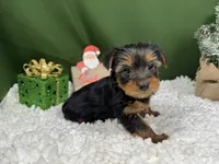 processed/e1eb33b4-003e-4a8e-bf1b-32beb59b2663/listing/685deeca-12cf-4fc0-bb0c-c4d54d40038a/de8bde95-1ab4-40a6-8b7f-10a34aaecda9