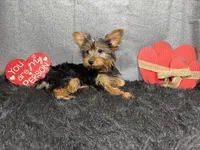 processed/e1eb33b4-003e-4a8e-bf1b-32beb59b2663/listing/685deeca-12cf-4fc0-bb0c-c4d54d40038a/ed548cf3-71ee-474f-be11-953e262ba17f