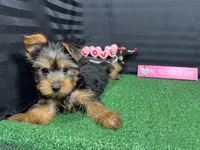 processed/e1eb33b4-003e-4a8e-bf1b-32beb59b2663/listing/685deeca-12cf-4fc0-bb0c-c4d54d40038a/f39a17cb-a153-4e93-88b5-a0c01b646a88