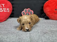 processed/e1eb33b4-003e-4a8e-bf1b-32beb59b2663/listing/6c5a90ef-5d43-4b95-a203-5f08801c8571/236396cc-6aa0-4a25-853f-b3b763eef3a4