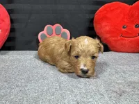 processed/e1eb33b4-003e-4a8e-bf1b-32beb59b2663/listing/6c5a90ef-5d43-4b95-a203-5f08801c8571/81ba4a31-c471-4b03-ab98-deeae7968d82