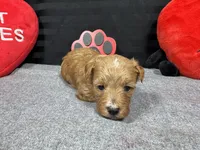 processed/e1eb33b4-003e-4a8e-bf1b-32beb59b2663/listing/6c5a90ef-5d43-4b95-a203-5f08801c8571/ef2b45e0-eb59-4883-8ddb-8ad55172bf5c